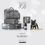 JAMIEshow - Muses - Moments of Joy - Luggage & Pet Set - Knight - Accessory